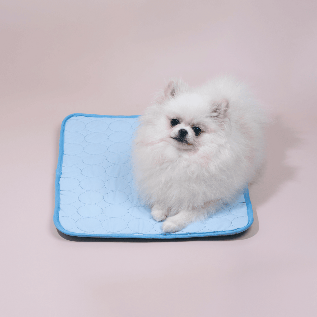 Innovatieve Koelmat voor Honden (4x Koelkracht) - ChillComfort