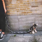 Coole en Grappige Hondenriem - PawChic