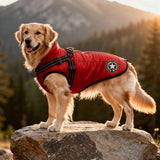 Hondencape voor de Winter | Wintercape voor Honden | Hondjas met Harnas | VachtCape