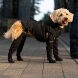 Stappers voor veilige buitenavonturen – PawShield