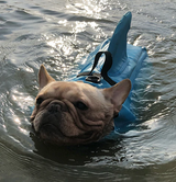 Hondenzwemmers - AquaPup