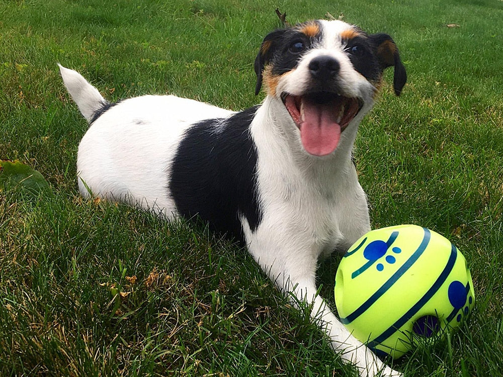 Interactieve Speelbal voor Honden - GiggleSphere
