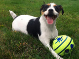 Interactieve Speelbal voor Honden - GiggleSphere
