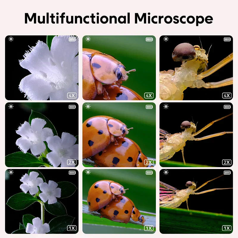 Kindvriendelijke digitale microscoop – Zoomi