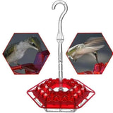 Mierenbestendige Hummingbird Feeder voor Buiten met Hangperch