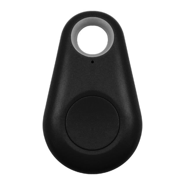 Huisdier GPS-Tag - PawFinder