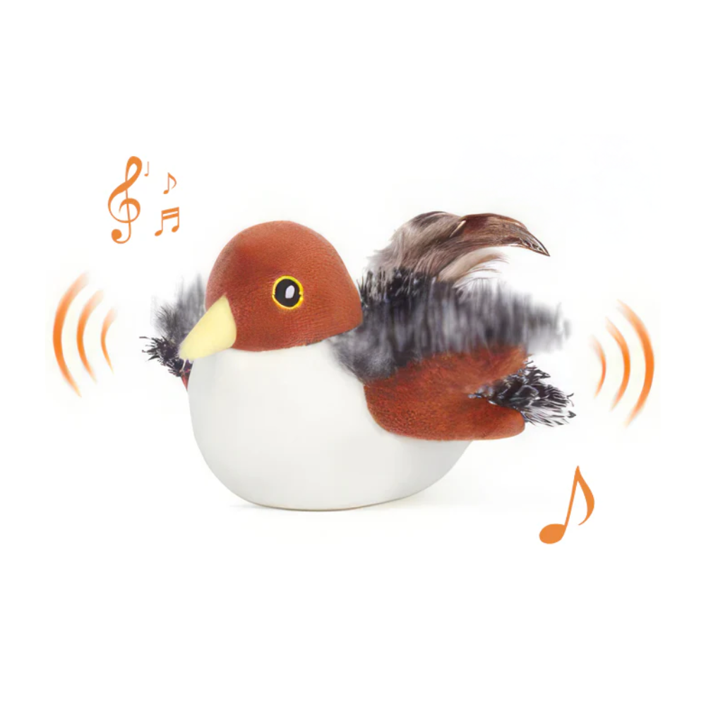 FlyFrenzy - De manier om je kat actief en vermaakt te houden!