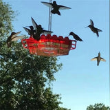 Mierenbestendige Hummingbird Feeder voor Buiten met Hangperch