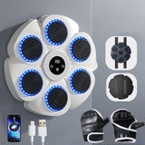 Norvo | Interactieve Slimme Boksmachine - PunchTech
