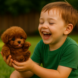 Norvo | Nicoo Robot Hond Interactief Speelgoed Realistisch Levendige Hond voor Kinderen