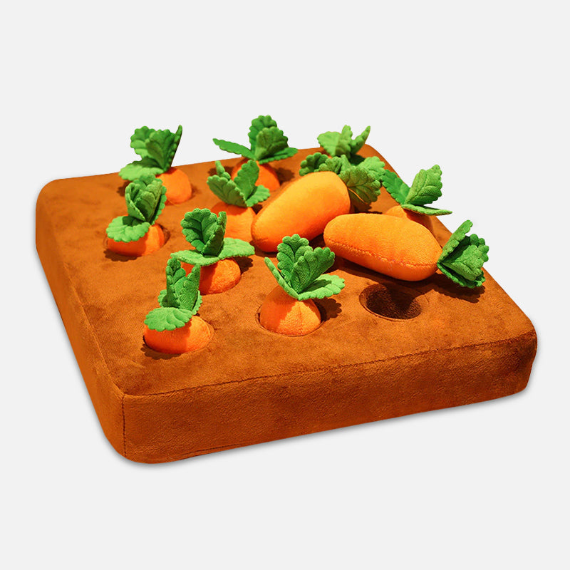 Interactief Snuffel Speelgoed – Snuffeltuin Wortels