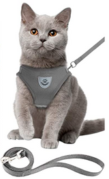 Kattentuigje met Lijn - Veiligheid & Comfort voor Avonturen