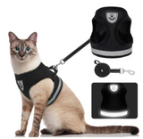 Kattentuigje met Lijn - Veiligheid & Comfort voor Avonturen