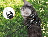 Kattentuigje met Lijn - Veiligheid & Comfort voor Avonturen