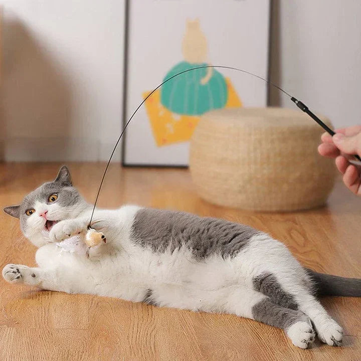 Interactief Katten Speelgoed - FlutterVriend