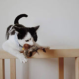 Interactief Katten Speelgoed - ChirpBird