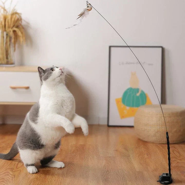 Interactief Katten Speelgoed - FlutterVriend