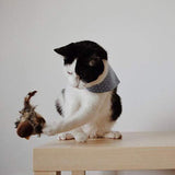 Interactief Katten Speelgoed - ChirpBird