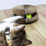 Magisch speel- en krab speelgoed voor katten - PurrPlay Sphere