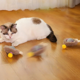 Interactieve Jachtbal voor Katten - PouncePal