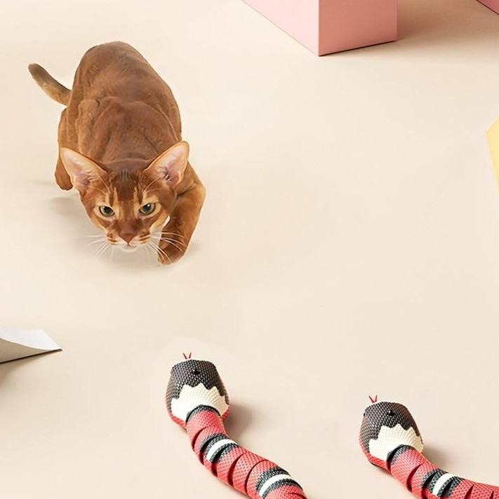 Katten-Jagdspeelgoed - SlitherPlay