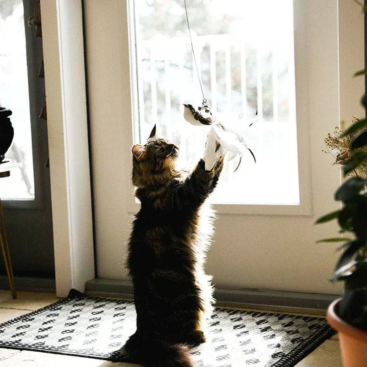 Interactief Katten Speelgoed - FlutterVriend