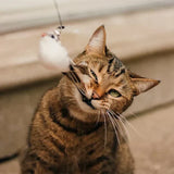 Interactief Katten Speelgoed - FlutterVriend