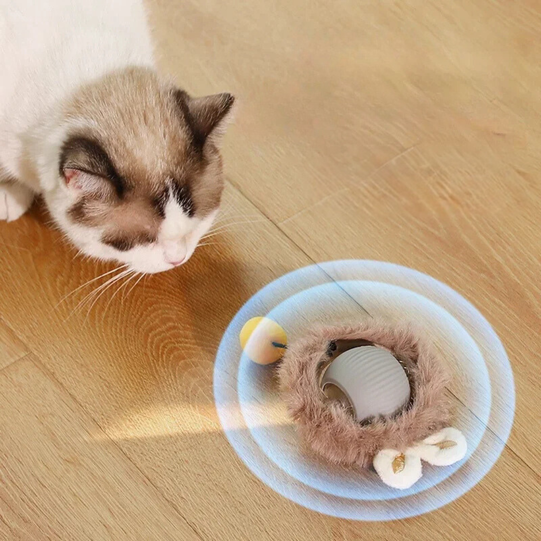 Interactieve Jachtbal voor Katten - PouncePal