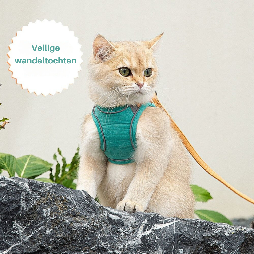 Kattenharnas – Oscar