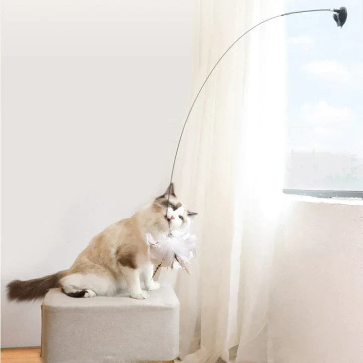 Interactief Katten Speelgoed - FlutterVriend