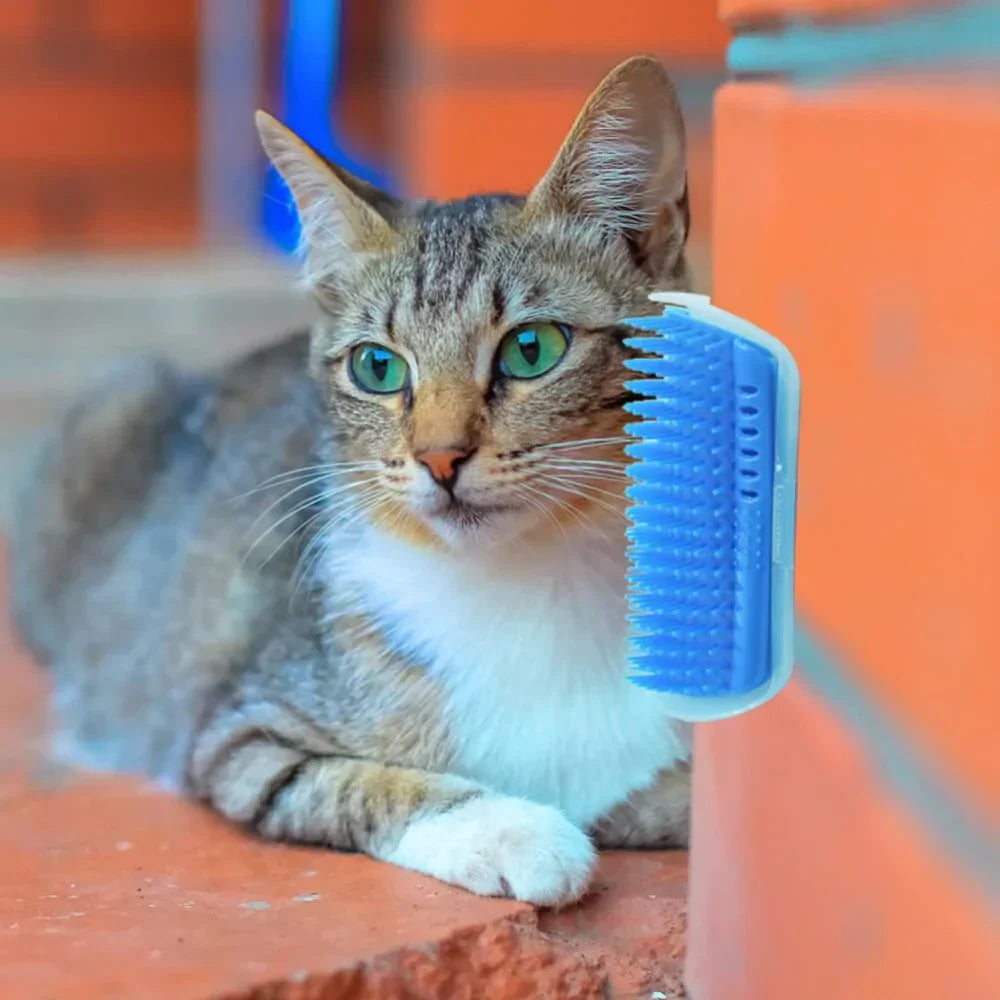 Katten-Eckbürste voor Zelfzorg - PurrGroom