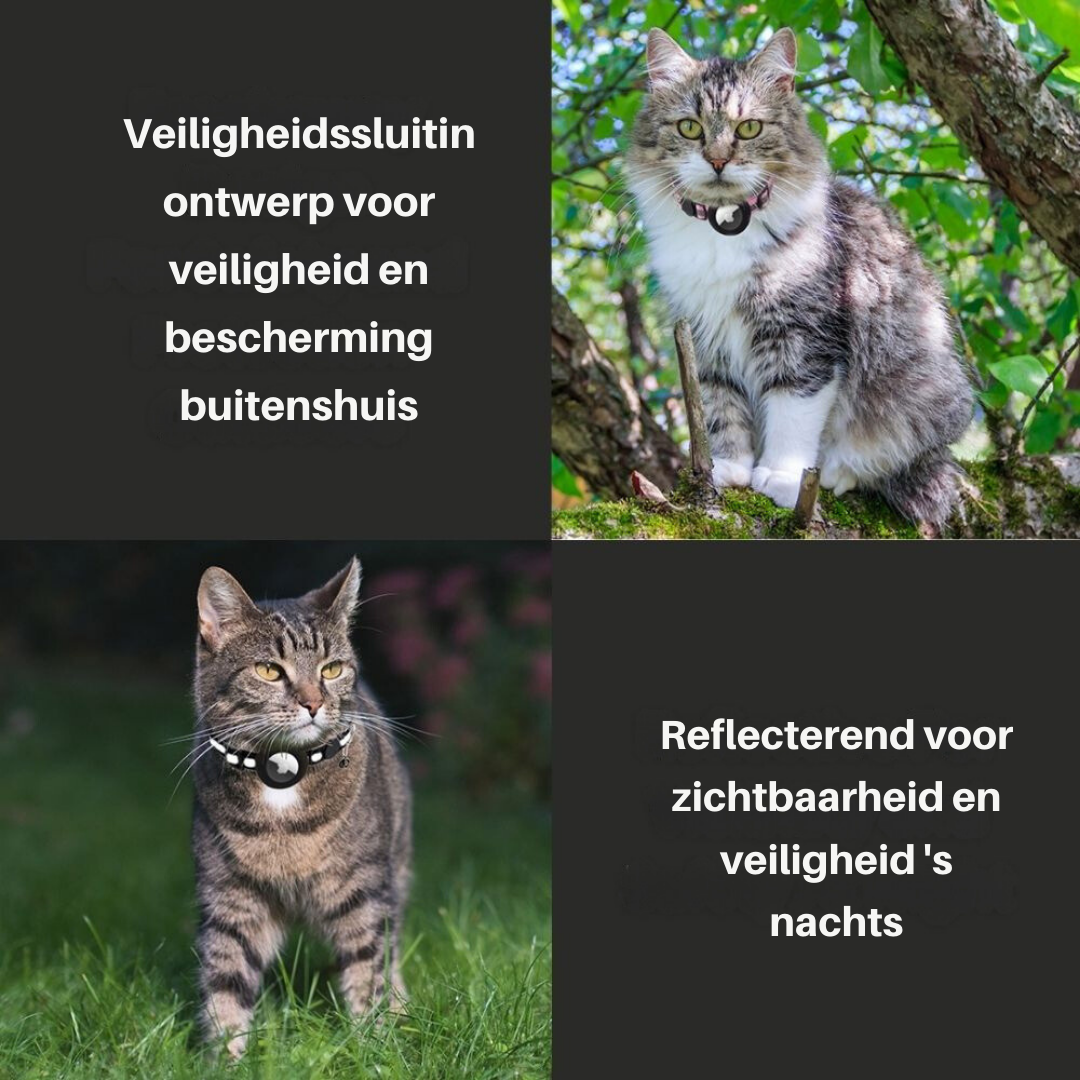 Kattenhalsband met Veiligheidsluiting - Milo