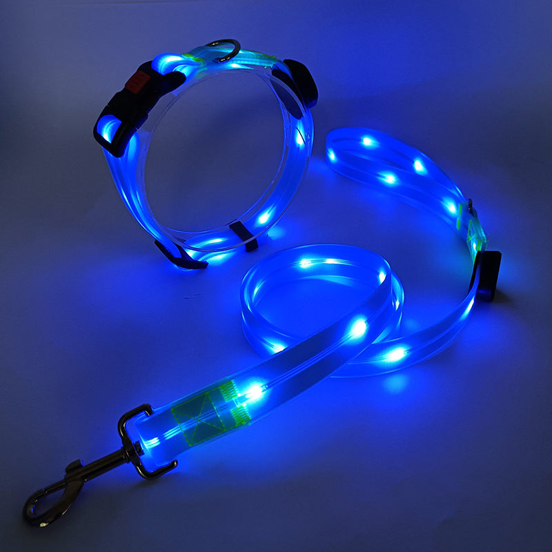 Verlicht LED Hondenhalsband met Leash - NightBright