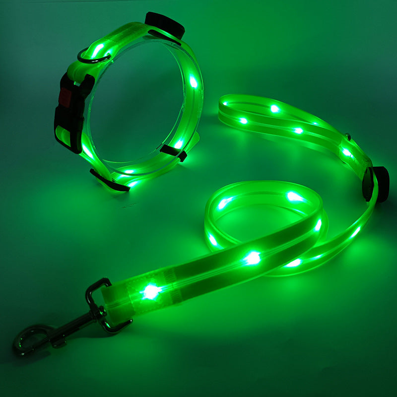 Verlicht LED Hondenhalsband met Leash - NightBright
