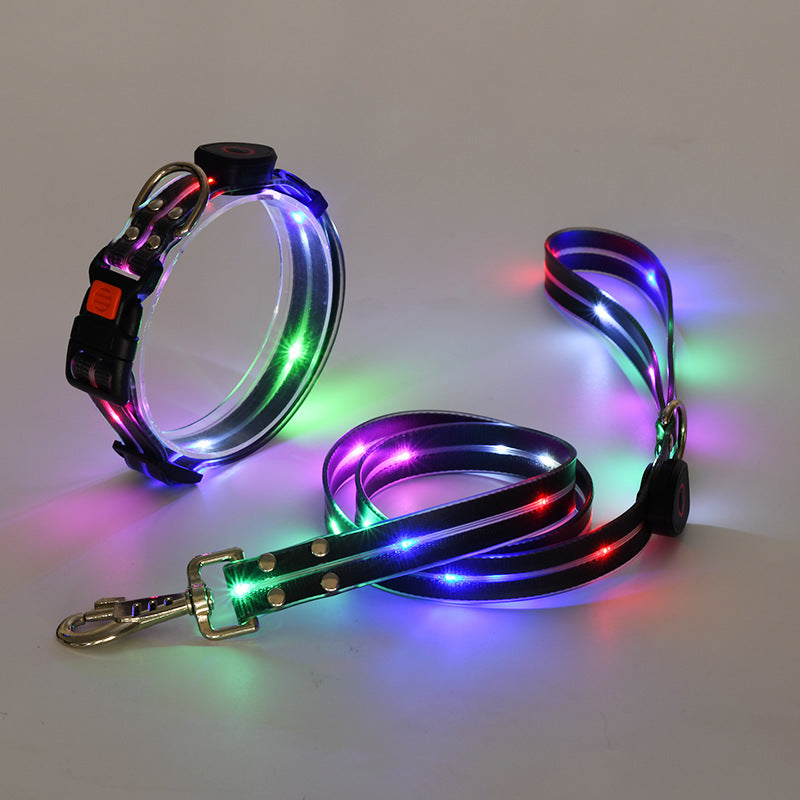 Verlicht LED Hondenhalsband met Leash - NightBright