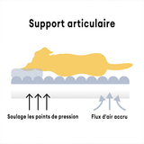 Orthopedisch Hondenbed - Ultieme Ondersteuning en Comfort
