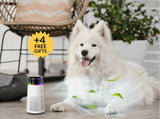 Dier-Geuroverfrisser – PetFresh