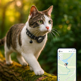 Kattenhalsband met GPS & Bel | MiauTrack