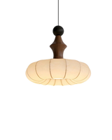 De Zijde Licht