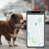 Sandsberg | Huisdier GPS Tracker - Honden en Katten - Android en iOS