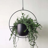 Stijlvolle plantenhouder in minimalistisch design!