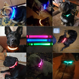 HondVeilig Pro - LED-halsband voor honden - Voel je veilig en stijlvol tijdens het uitlaten