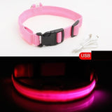 HondVeilig Pro - LED-halsband voor honden - Voel je veilig en stijlvol tijdens het uitlaten