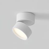 Moderne verstelbare LED plafondlamp