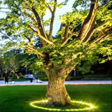 LED-verlichting voor bomen – Ronde grondlamp 360° voor tuin, oprit en landschap