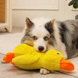 QuackyPaws - De Kalmerende Eend