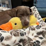 QuackyPaws - De Kalmerende Eend