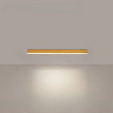 Minimalistische plafondlamp met sterke uitstraling