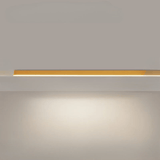 Minimalistische plafondlamp met sterke uitstraling