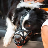 SafeBark | Hondenmuilkorf